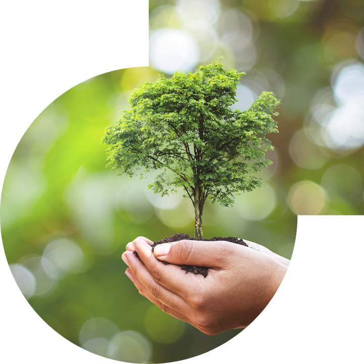 關懷人類、文化、環境與社會